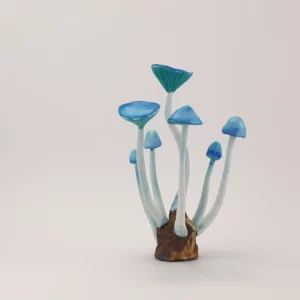 Mystical Mushrooms