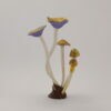 Gold Purple Cap - 5 - Image 4
