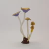 Gold Purple Cap - 5