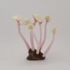 Lemon Pink Pearl Cap - 7 - Image 3