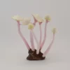 Lemon Pink Pearl Cap - 7
