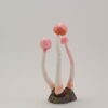 Pink Orange Pearl Bobble - 3 - Image 2