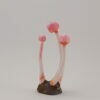 Pink Orange Pearl Bobble - 3 - Image 4