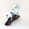 Blue Shiny Cap - 9 - Image 2