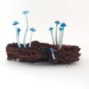 Blue Tiny Cap - 9