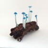 Blue Tiny Cap - 9 - Image 3