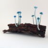 Blue Tiny Cap - 9 - Image 4
