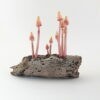 Orange-Pink Point Glow - 9 - Image 2